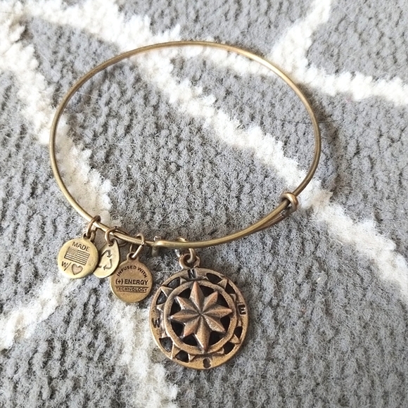 Alex and Ani Compass Bangle Bracelet - Picture 6 of 10